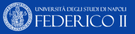 University of Naples Federico II logo